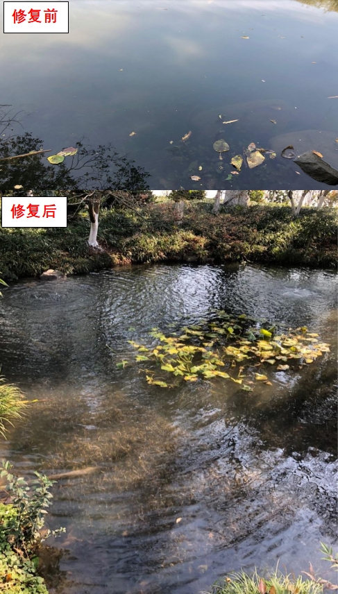 微信截圖_20240913142754.png
